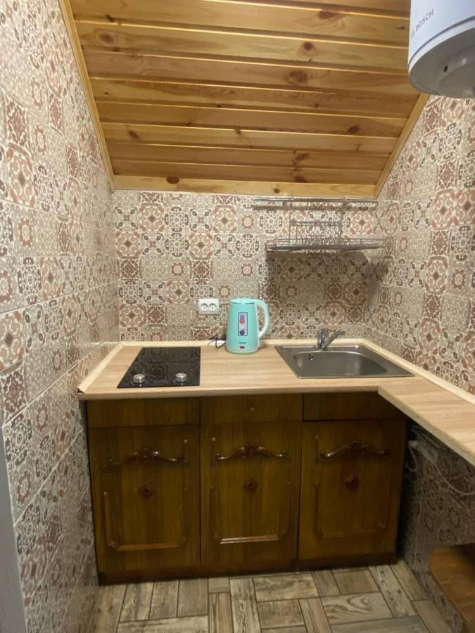 Затишок В Карпатах 1 Διαμέρισμα Slavske Εξωτερικό φωτογραφία